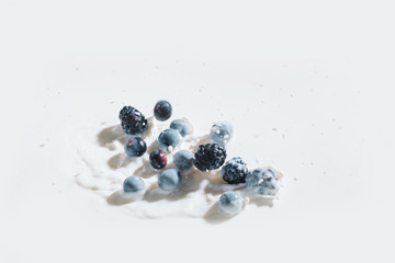 Juicy berries falling in milk with drops on white background