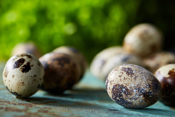 Spotted quail eggs arranged on theblue textured background, selective focus.