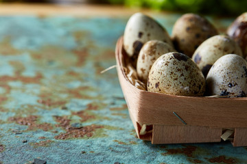 Quail eggs in a box on a blue textured background, top view, selective focus.