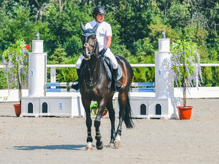 Showjumping competition, bay horse and rider in white uniform performing jump over the bridle....
