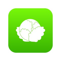 Cabbage icon digital green for any design isolated on white vector illustration