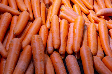 Specially selected fresh carrots