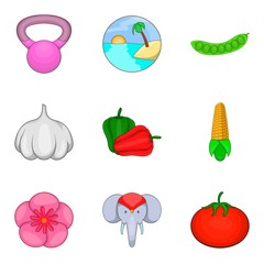 Food for yoga icons set. Cartoon set of 9 food for yoga vector icons for web isolated on white background