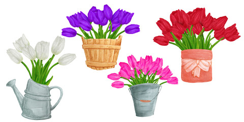 Hand drawn colorful tulips flower in vase or container. Beautiful garden plants in sketch style for design greeting card, package, textile. Cartoon illustration isolated on white background.