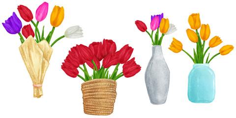 Hand drawn colorful tulips flower in vase or container. Beautiful garden plants in sketch style for design greeting card, package, textile. Cartoon illustration isolated on white background.