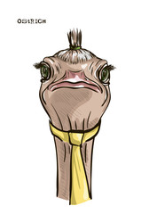 Vector sketch portret of Ostrich