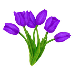 Hand drawn colorful bouquet with tulips flower. Beautiful garden plants in sketch style for design greeting card, package, textile. Cartoon illustration isolated on white background.