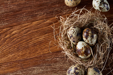 Obraz premium Conceptual still-life with quail eggs in hay nest over dark wooden background, close up, selective focus