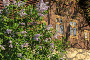 Frühling im Spreewald, Leipe, Historisches Dorf 