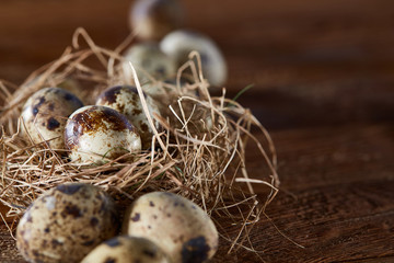 Obraz premium Conceptual still-life with quail eggs in hay nest over dark wooden background, close up, selective focus