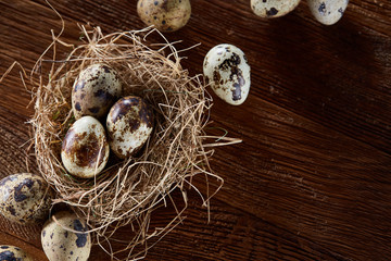 Obraz premium Conceptual still-life with quail eggs in hay nest over dark wooden background, close up, selective focus