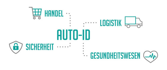 Auto-ID Infografik Bereiche Türkis