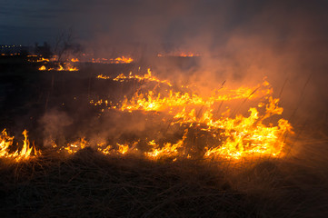 Fototapeta na wymiar A spring fire. Burning grass. Field Smoke Background