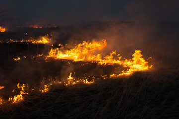 A spring fire. Burning grass. Field Smoke Background