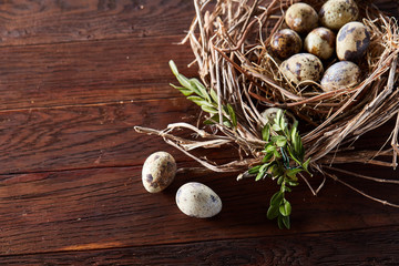 Obraz na płótnie Canvas Willow nest with quail eggs on the dark wooden background, top view, close-up, selective focus