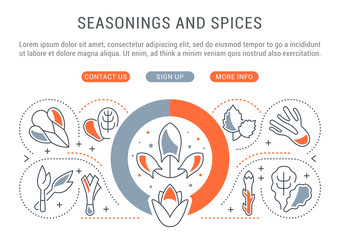 Website Banner and Landing Page of Seasonings and Spices.
