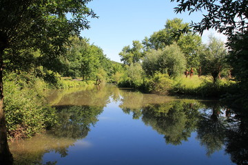 Fototapete bei efototapeten.de bestellen   