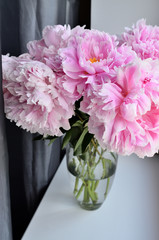 Fresh bouquet of pink peonies peony roses flowers in a vase on white window, background. White table. White wallpaper. White decor. Flowers in the room.