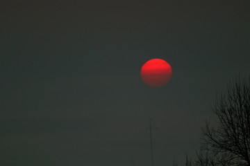 Sunrise on a foggy spring morning.