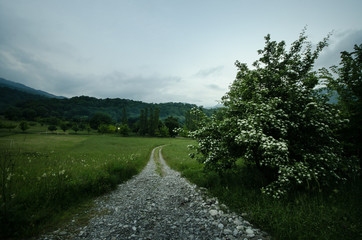 Majestic landscape of mountains and Meadow. Cycling mountain road. Misty mountain road in high mountains.. Cloudy sky with mountain road.