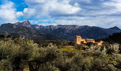 Fototapeta premium Panoramic view of the Sierra de Tramontana with rural house surrounded by olive trees in Mallorca, Spain.