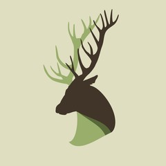 Fototapeta premium Голова оленя