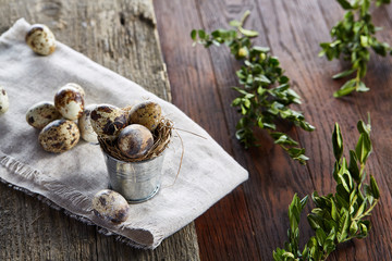 Spring composition of quail eggs in bucket on a linen napkin and boxwood branch, selective focus