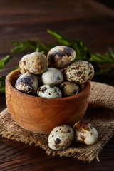 Bowl with eggs quail, eggs on a homespun napkin, boxwood on wooden background, close-up, selective focus