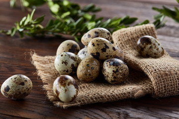 Quail eggs arranged in pyramid on a napkin with boxwood branches over a wooden table, close-up, selective focus.