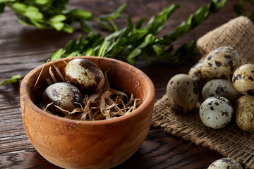 Bowl with eggs quail, eggs on a homespun napkin, boxwood on wooden background, close-up, selective focus