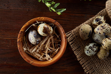 Bowl with eggs quail, eggs on a homespun napkin, boxwood on wooden background, close-up, selective focus