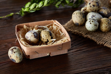 Composition of eggs quail box, eggs on a homespun napkin, boxwood on wooden background, top view