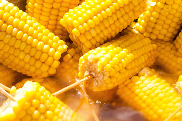 A lot boiled golden corn on the cob. Pierced on wooden sticks.