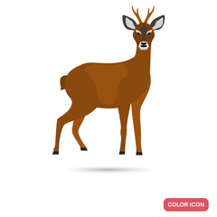 Roe deer color flat icon for web and mobile design