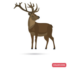 Male deer color flat icon for web and mobile design