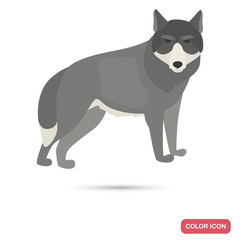 Wolf color flat icon for web and mobile design