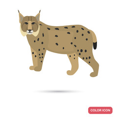 Lynx color flat icon for web and mobile design
