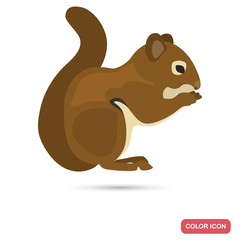 Squirrel color flat icon for web and mobile design