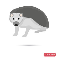 Hedgehog color flat icon for web and mobile design
