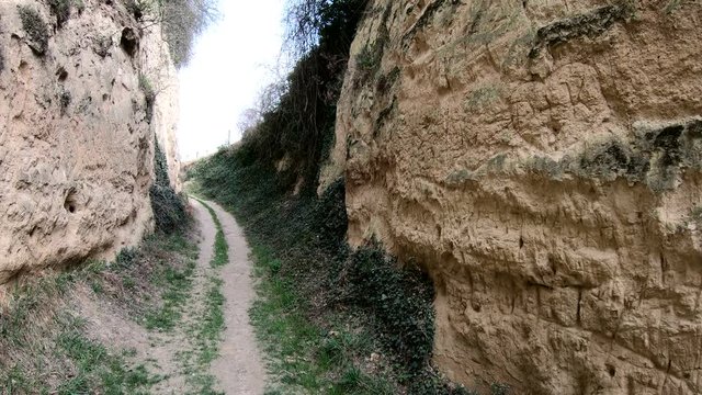 L&ouml;sshohlweg Eichgasse bei Bickensohl, Kaiserstuhl, Hohlweg, Strasse, Weinbau, Geologie, 4K
