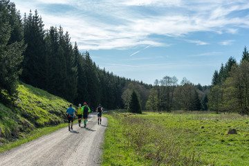 Fototapeta premium Running, Path through beautiful nature