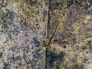 Random texture on wall