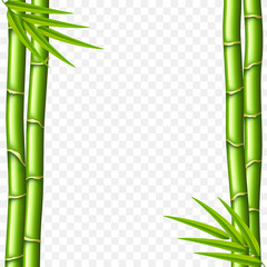 Fototapeta na wymiar Bamboo stems isolated on white vector
