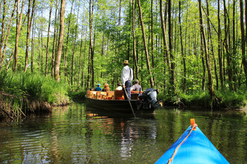 Paddeln und Kahnfahrt im Spreewald, Germany