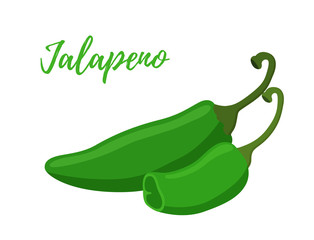 Vector cartoon flat jalapeno with slices. Hot green chilli pepper