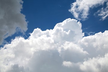 Fototapeta na wymiar Fluffy Billowy Cumulus Clouds in the Blue Summer Sky Backlit by the Sun in Florida