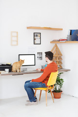 People, business and work concept. Young caucasian man work at desk at home in white creative interior. Big ginger cat spend time with his owner. Back view of working remotly creative freelancer