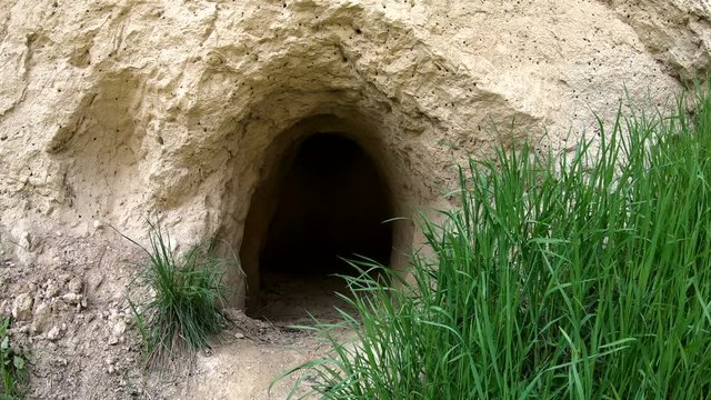 L&ouml;sshohlweg Eichgasse bei Bickensohl, Kaiserstuhl, Hohlweg, Strasse, Weinbau, Geologie, 4K