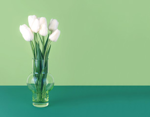 White tulips in a vase on a green background.