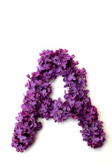 Lilac alphabet